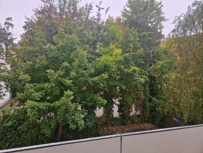 Newly renovated/refurbished, bright two-room apartment with a quiet southwest-facing balcony in Stadtfeld-Ost – Balkon-Aussicht