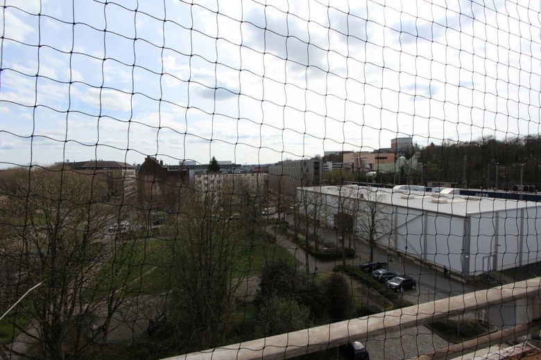 Bild 9