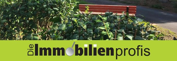 Odnowiony dom dla 1–2 rodzin w Schwarzenbach a.d. Saale