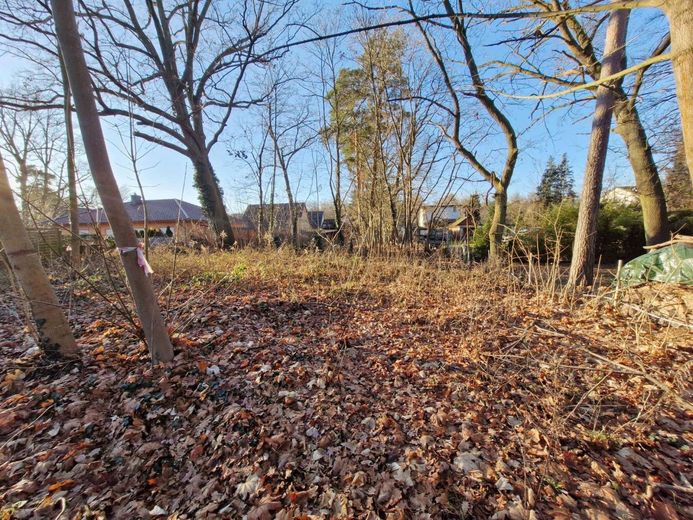 Grundstück mit Baugenehmigung für 2 EFH - sofort bebaubar – Ansicht eines Teils des Grundtücks mit Bäumen