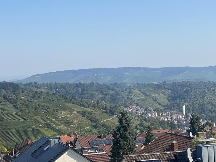 Fernblick