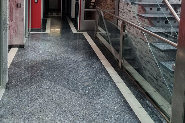 Vivienda y trabajo representativos de alto nivel // con licencia comercial o actividad profesional independiente