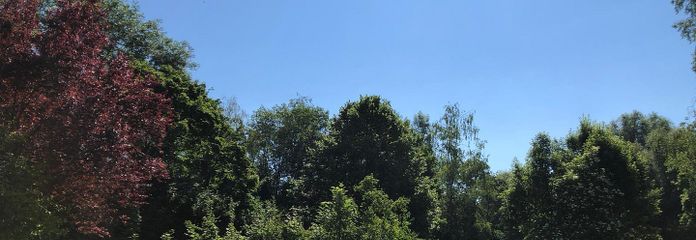 Gemeinschaftsgarten 3500qm