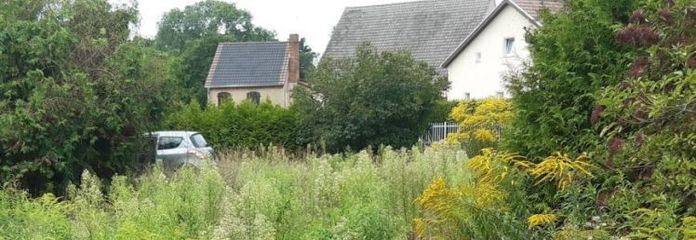 IMMOBERLIN.DE - Großartiges Baugrundstück beim Zernsdorfer Lankensee