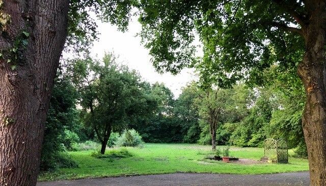 Großzügiger Resthof mit zwei Wohneinheiten, umfangreichen Nutzflächen und vielfältigem Entwicklungspotenzial – Aussicht Nordseite