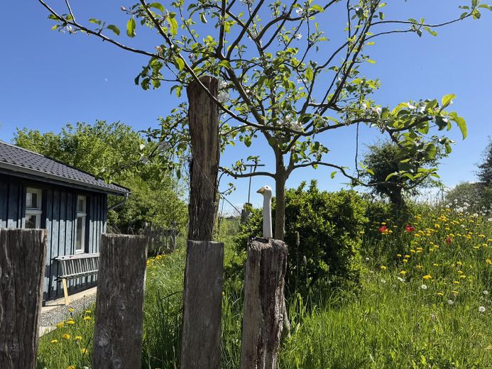खुले नज़ारों के साथ जीवन – Garage, seitlicher Blick