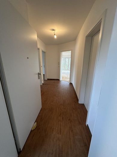 Penthousewoning met balkon, uitzicht op het groen, eerste bewoning na renovatie – Diele