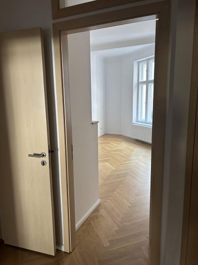 Tamamen yenilenmiş Berlin eski binası, gerçek ahşap parke – bahçe binasında sakin 1 odalı daire – Fotoğraf 2