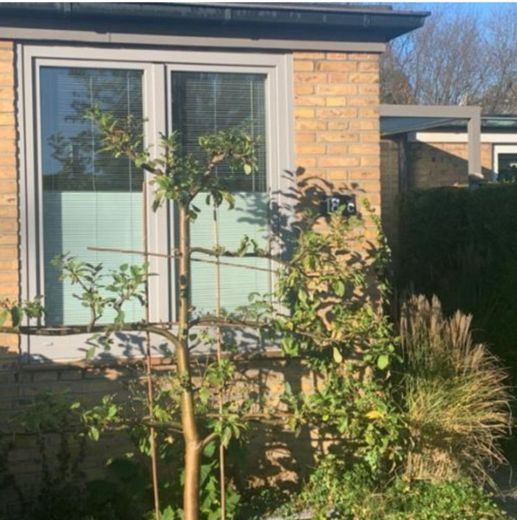 Modernisierter Winkel-Reihenbungalow mit uneinsehbaren Grundstück – Badezimmerfenster