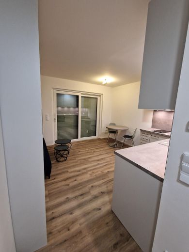 Möblierte Neubau Erdgeschosswohnung - inkl. Tiefgarage, Luxusausstattung, mit Garten – Foto 3