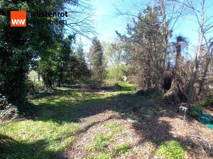 Gemütlicher Bungalow mit Erweiterungspotenzial bei Beeskow zu verkaufen. Schauen Sie vorbei... – Garten