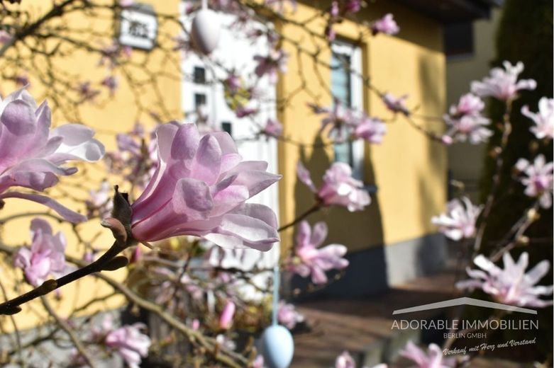 Ansicht Garten 5