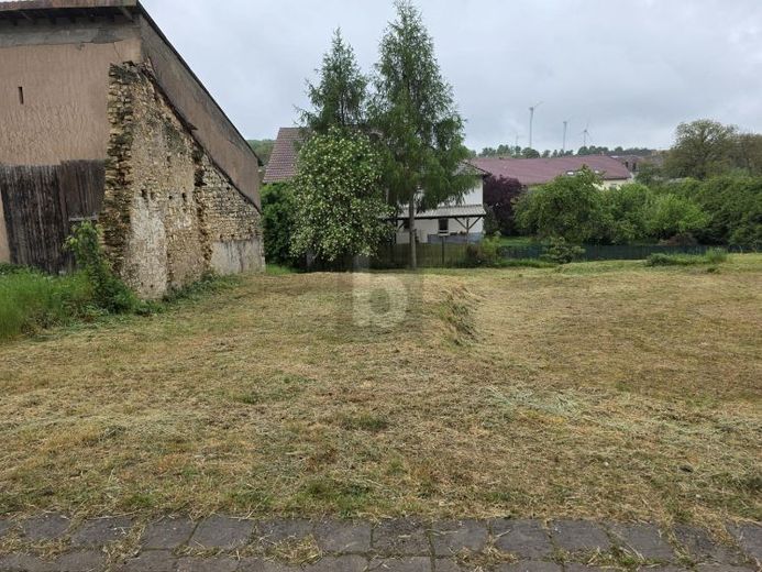 RUHIGE WOHNLAGE IM BEGEHRTEN DREILÄNDERECK – फोटो 1