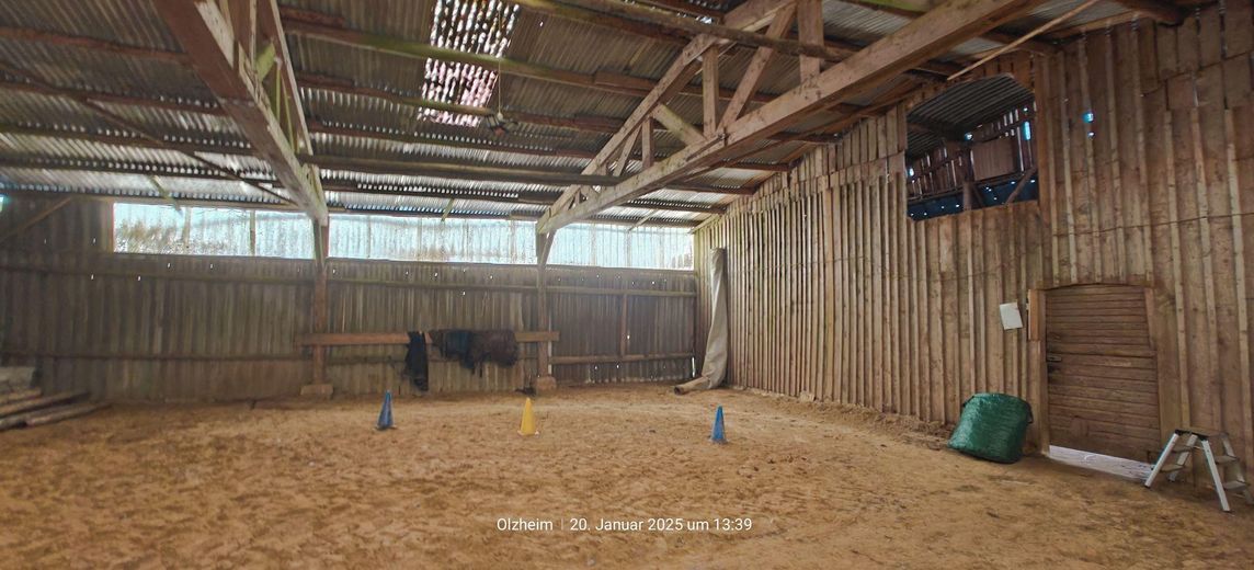 Longierhalle