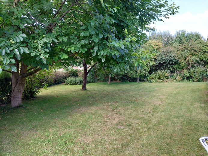 Blick in den Garten Nordseite