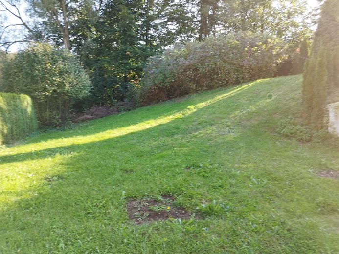 Schöne 3-Zimmer Wohnung mit Terasse und Garten – Garten
