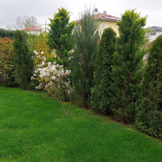 Großzügiges Einfamilienhaus im exklusiven Villenstil (privater Anbieter) – Foto 8