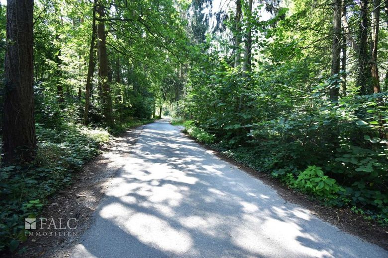 RESERVIERT!! Saniertes Wochenendhaus im Wald – Umgebung