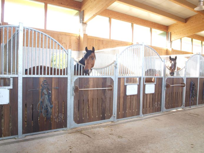 Centro ippico senza provvigioni sul lago con maneggio coperto, campo da equitazione e 15 box per cavalli – Boxen links Straßenseite.