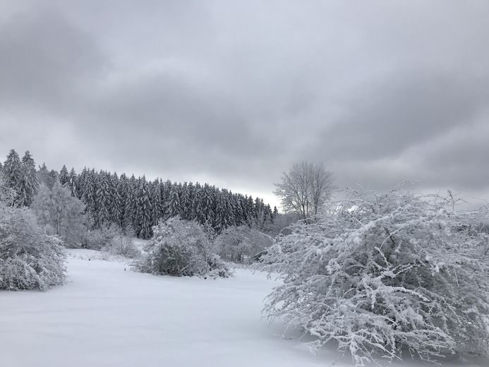 Abitare ai margini del bosco – Winter, 15 Minuten zu Fuß