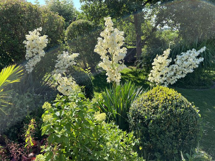 Gartenimpression 3