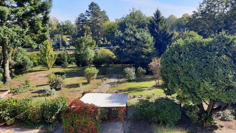 Baugrundstück Blick nach Osten