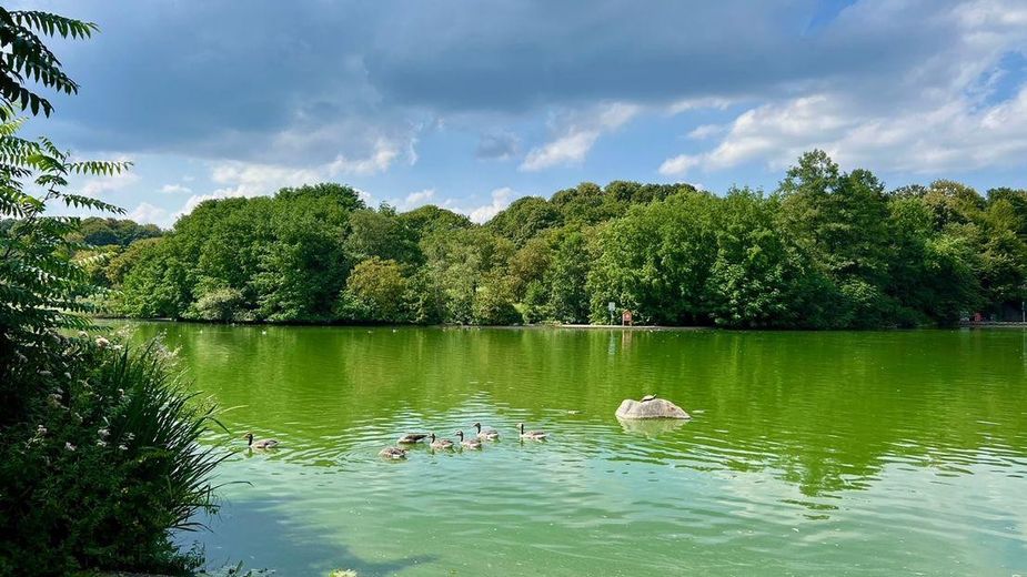 2-Zimmer-WHG komplett ausgestattet, 2-room APP comfortably furnished, Munich Westpark, Metro U6 – See im Westpark