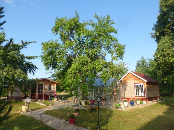 Blick auf Gartenhäuschen