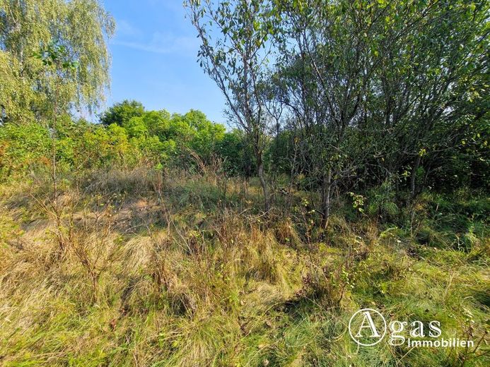 Bauträgerfreies Traumgrundstück mit ca. 1.000 m² in ruhiger Lage von Groß Lindow – Grundstück Ansicht 1