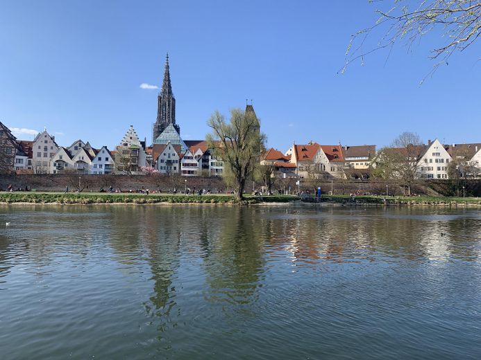 Donau/Münsterblick