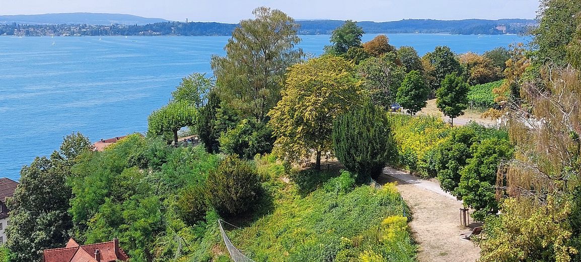Quattro appartamenti completamente ristrutturati e di alta qualità sulle storiche mura cittadine di Meersburg, con vista da sogno – Foto 43