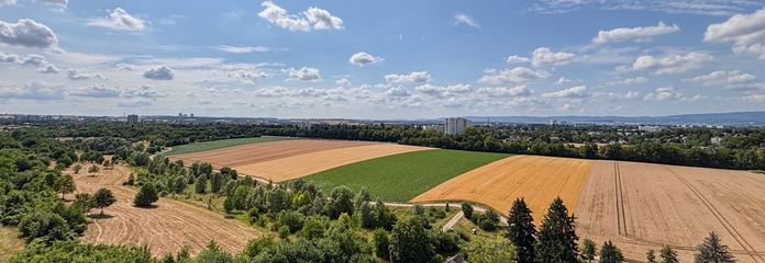 Ausblick