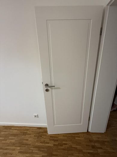 Luxuswohnung ,Hochparterre, mitten im Kreuzviertel – Türen v. Marktführer Herholz 
