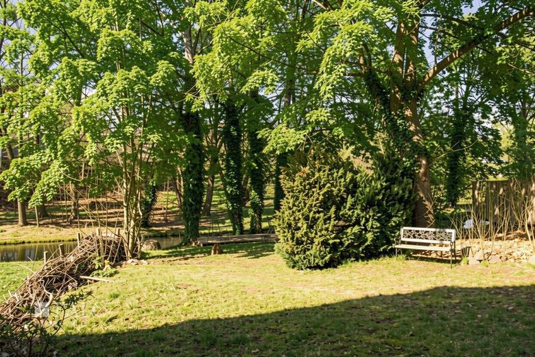 +++ Stabile Rendite in der Landeshauptstadt: 8 Wohneinheiten in der Paulsstadt +++ – Garten I