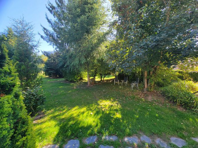 Schattiges Plätzchen 