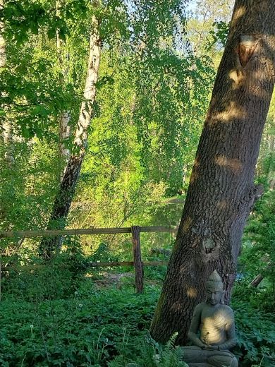 Am Schierbrunnenteich