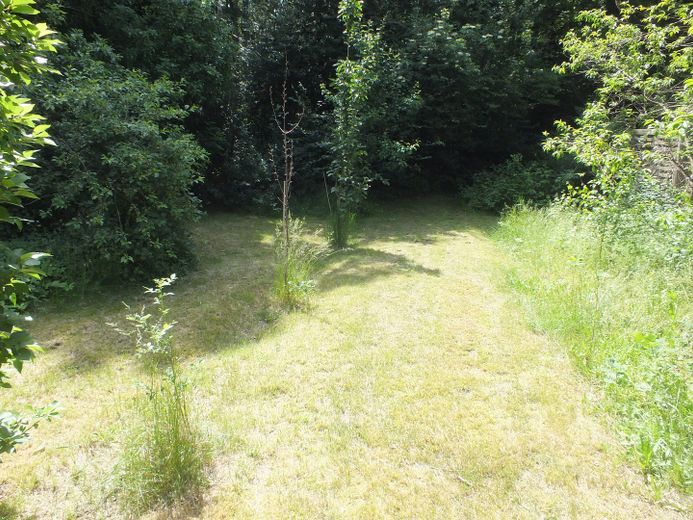Naturidyll mit riesigem Grundstück – Provisionsfrei von Privat! – Garten