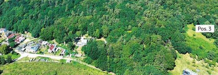 Wald in 18528 Lietzow /Insel Rügen, An der Waldstraße