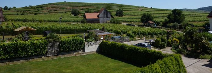 Nahe dem Ortsrand - Blick nach Nord-Ost