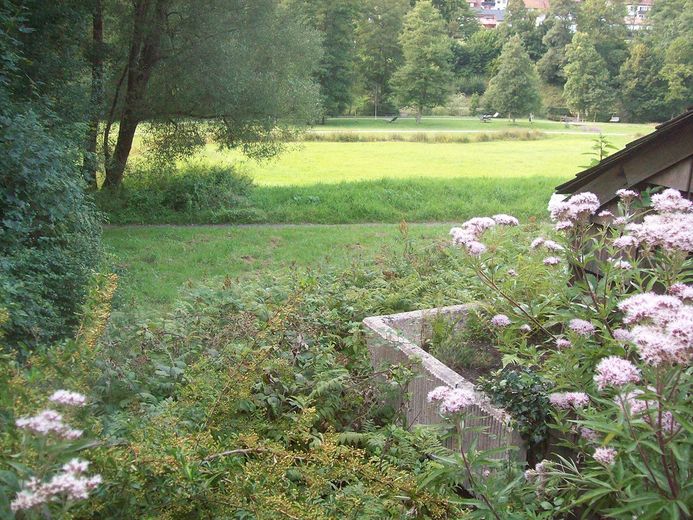 Kurpark'ın hemen yanında, sessiz konumda iki odalı daire – Foto 3