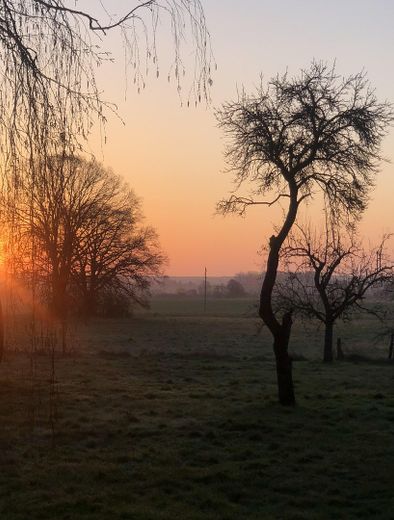 Historisches Landhaus in Mecklenburg-Vorpommern - ruhig gelegen, stündlich per Bahn erreichbar – Blick übers Land im Spätherbst