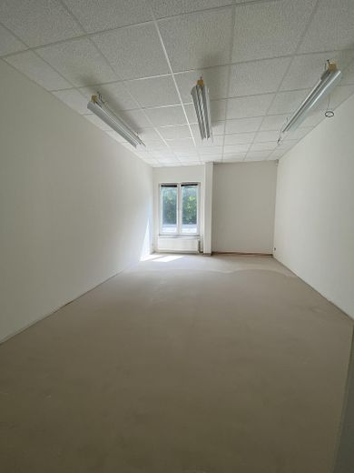 Gewerbehalle mit Bürofläche in Minden –sofort verfügbar/optimale Erreichbarkeit (Kreuz B428/B65) – Foto 4