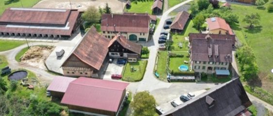Arrondiertes Landgut mit vielseitigen Nutzungsperspektiven – Luftbild Hofgut