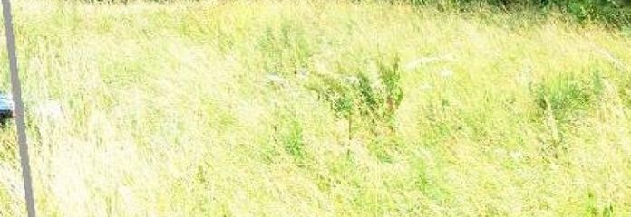 Lissendorf Baugrundstück Ecklage Erschlossen gerader Schnitt