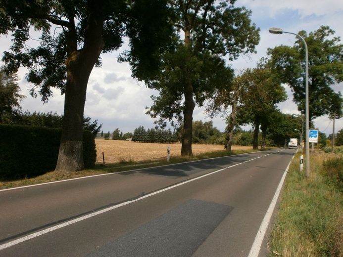 Wegen Auswanderung: 2.270m2 Bau-Grundstück bei Greifswald / Ostsee – Grundstücksansicht 0