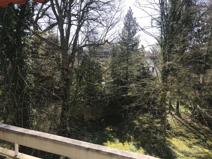 Ausblick