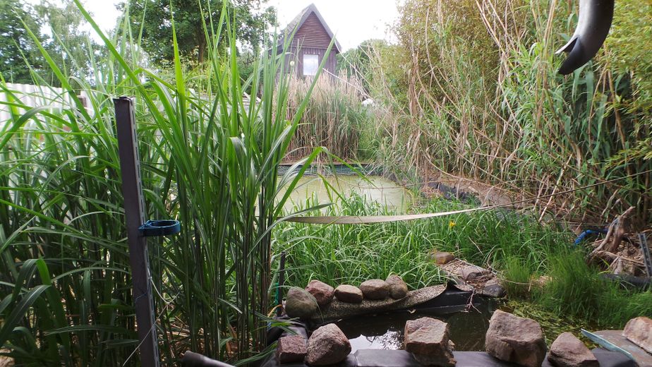 Garten mit Außenküche 