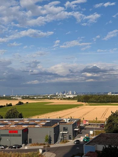 Provisionsfrei, modernisierte 2-Zimmer-Wohnung mit Skylineblick in Liederbach – Ausblick