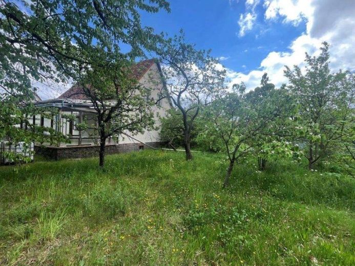 Viel Platz für Ihre Wohnträume - Sanierungsobjekt mit großem Potenzial im Sedlitzer Seenland – Foto 1
