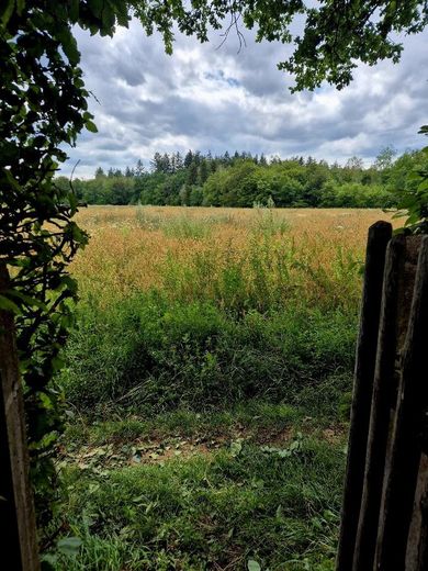 Działka w najlepszej lokalizacji w Gräfelfing – Ausblick Gartentor